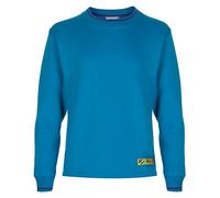 Beavers Scout Tipped Sweatshirt 2015 (26)
