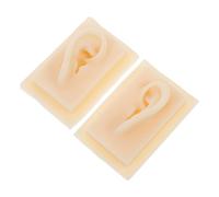 Beavorty 1pair Human Ear Model for Display and Teaching Simulation Ear Models for Anatomy Practice for Students and Doctors