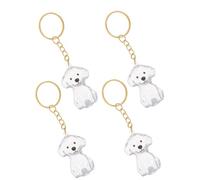 Beavorty 4pcs Pet Hair Memorial Keepsake Keychain with Abs Box for Dog Hair Preservation, Refillable Design, Portable Memorial Pendant for Mourning The Passing of A Furry Friend