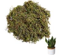 Beavorty Artificial Moss Fake Green Moss Artificial Decoration Simulation Sphagnum for Plant Home Garden Decoration