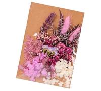 Beavorty DIY Dried Flowers Material Pack for Handmade Candles and Home Décor, Pressed Flower Accessories Bowl Filler, Plant Specimen Craft Supplies for Decorative Art