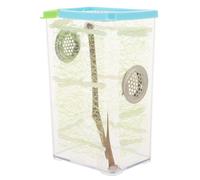 Beavorty Mantis Insect Terrarium Feeding Box with Ventilation, Stick Insect Breeding Habitat Cage, Suitable for African Ghost Mantis and Jumping Spider Enclosure