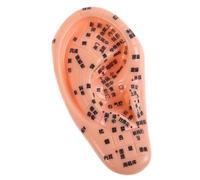 Beavorty Silicone Ear Acupuncture Model for Teaching - Human Body Acupunctures Point Practice Soft and Realistic Design for Massage Therapy and Chinese Medicine Demonstration