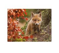 BEAYODKP 5D Diamond Painting Kits，Curious Fox cub，DIY Rhinestone Embroidery Set Paint with Diamond Art by Number Kits Cross Stitch Home Wall Craft Decoration（40 x 50 cm/15.74 x 19.68 inches）-K47