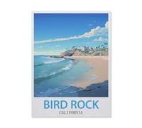 BEAYODKP Bird Rock California，Beginner-Friendly Paint-by-Number Kit,Easy Introduction to Art(50x60cm) 19.6x23.6 inches-FI21