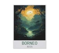 BEAYODKP Digital Painting DIY Frameless Paint by Number Kits，Borneo Asian，Paint by Numbers Oil Painting Canvas Print Wall Art Home Decoration(50x60cm) 19.6x23.6 inches-FN34