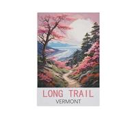 BEAYODKP Digital Painting DIY Frameless Paint by Number Kits，Long Trail Vermont，Paint by Numbers Oil Painting Canvas Print Wall Art Home Decoration(40x50cm) 15.7x19.6 inches-FN94