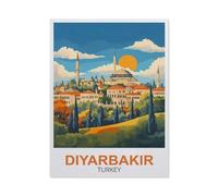 BEAYODKP Easy Paint by Numbers for Adults Beginners,Diyarbak谋r Turkey,Paint by Number Kit On Canvas for Adults New Painters's Gift DIY Gifts(20x30cm-FC13