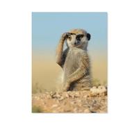 BEAYODKP Meerkat，DIY Paint by Numbers for Adults Beginner, Easy Paint by Numbers for Beginner,Acrylic Watercolor Paint by Number for Kids Gift Decor(20x30cm) 7.8x11.8 inches-A39