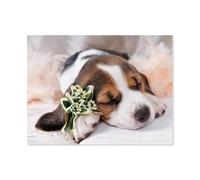 BEAYODKP Paint by Numbers for Adults，Beagle Dog，DIY Oil Painting Paint by Number Kits Linen Canvas Wall Art House Decor(30x40cm) 11.8x15.7 inches-F34