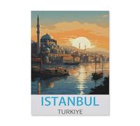 BEAYODKP Paint by Numbers Kits for Adults and Kids，Istanbul Turkey，with Brushes and Acrylic Pigment DIY Digital Canvas Painting for Adults Beginner(20x30cm) 7.8x11.8 inches-FN43