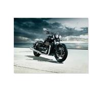 BEAYODKP Paint by Numbers,Motorcycle,DIY Paint by Numbers Kits for Adults Kids,Canvas Oil Painting with Brushes and Acrylic Pigment Paint by Numbers Arts Craft for Home Wall Decor(30x40cm) -I24