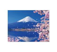 BEAYODKP Paint by Numbers，Mt. Fuji Japan Cherry Blossoms，DIY Paint by Numbers Kits for Adults Kids,Canvas Oil Painting with Brushes and Acrylic Pigment Paint by Numbers Arts Craft (40x50cm) -G84