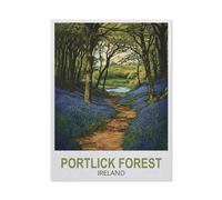 BEAYODKP Paint by Numbers,Portlick Forest Ireland,for Adults and Kids DIY Oil Painting Gift Kits Pre-Printed Canvas Art Home Decoration(30x40cm-FB95