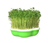 BEAZOOM Indoor Soilless Sprouting Jar Set Microgreens, Grow Kit with Ventilated Lids, Compact Vegetable, White