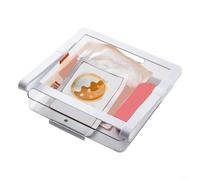 BEAZOOM Refrigerator Drawer Organizer 24x24x7cm Plastic BPA Food Storage Under Shelf for Eggs Vegetables White(3)