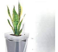 BEAZOOM Self Watering Succulent Containers, Transparent Thick for Plastic Planters with Dry-Wet Separation Design, Blue Flower Pots with Wicks and Gardening Tools Young Plants, Set of 4
