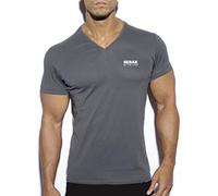 BEBAK Gym Clothes for Men | V Neck T Shirt Bodybuilding T Shirts Workout Training Tops Arnold Schwarzenegger Inspired Design MMA, Strongman, (Char L) Charcoal