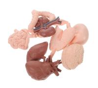 BEBEMOKO 8Pcs Realistic Human Organ Model Simulation Anatomy Teaching Props for Medical Education Home School Science Demonstration Brain Heart Intestines Kidney