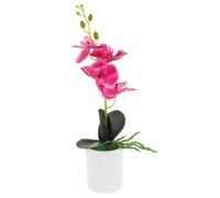 BEBEMOKO Vibrant Artificial Orchid Potted Plant Lightweight Plastic Simulation Flower for Indoor Tabletop Decoration Portable Fade Resistant Faux Plant Adding Elegant Color to Home Office