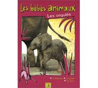 Bébés animaux : Les ongulés