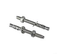 Bebykilemi 10 Pcs 304 Stainless Steel Heavy Duty Bolt Anchors for Home & Garden Building Hardware, Compatible with Bricks Stones Concrete (M10*100)