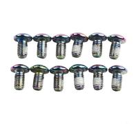 Bebykilemi Colorful PRO Oil Slick Stainless Steel Disc Brake Rotor Bolts T25 Torx M5 x 10mm Mountain Bike Hardware Fasteners Anti-Loose Thread Treatment Pack of 12