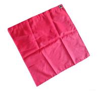 Bebykilemi Horse Desensitising Flag Oxford Cloth Training Flag Equestrian Training Aid Lunging Training Tool Horse Groundwork Equipment Obstacle Training 47.5cm(red)