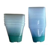 Bebykilemi Square Plastic Liner with Transparent Design for Root Monitoring, Silicone Non-Slip Bottom, 8 x 8 x 7.7 cm Reusable Indoor Outdoor Flower Pot for(green 12)