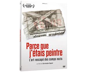 Because I Was a Painter ( Parce que j'étais peintre ) [ NON-USA FORMAT, PAL, Reg.0 Import - France ]
