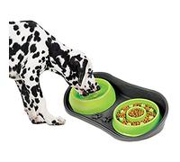 Because of Paws Non-Skid Pet Bowl Tray - with 2 Slow Down Bowls Set - For Small to Medium Dogs - Protects Floor from Food and Water