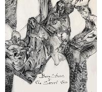 Becca Stevens & The Secret Trio - Becca Stevens & The Secret Trio