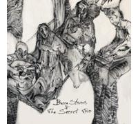 BECCA STEVENS THE S - BECCA STEVENS THE SECRET TRI - CD - J1398z