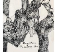 BECCA STEVENS THE S - BECCA STEVENS THE SECRET TRI - CD - K3z