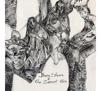 Becca Stevens & the Secret Trio - Becca Stevens The Secret Trio CD
