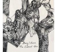 Becca Stevens & The Secret Trio Becca Stevens & the Secret Trio (CD) (US IMPORT)