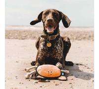Beco Rough & Tough Recycled Crab Dog Toy - Large