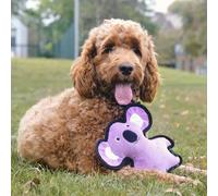 Beco Rough & Tough Recycled Koala Dog Toy - Medium