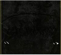 Becoming Real - Pure Apparition