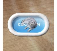 Bed for Dogs Cats, Water Mat with Fish - Thickened Cat Play Mat with Floating Fish Design, Interactive Pet Bed Toy for Indoor Summer, Durable Playmat (Blue Oval A, 25x20 Inches) (Sky Blue, 如图所示)