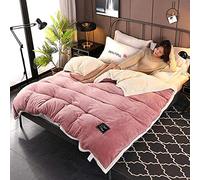 Bedding 4 Piece Bed Sheet Set Thickening Warm Duvet Solid Color Flannel/Velvet Winter Double Twin Full Queen King Size Quilt Cover- LAN_150x200cm