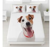 Bedding Fitted Sheet Queen(152 x 200 cm),White - Deep Pocket 30 cm(12") - Easy Care - Soft Microfibre - Shrinkage and Fade Resistant - Close-Up Dog Smile Cute Fitted Sheet