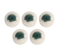 Bediffer 5Pcs Lightweight Gas Lantern Mantles for Camping and Outdoor Activities Durable Non-Radiating Rayon (Double Clip Style)