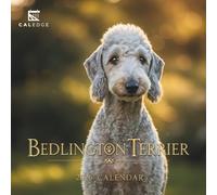 Bedlington Terrier Calendar 2026: A Year of Lamb-Like Charm and Sass