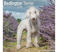 Bedlington Terrier Calendar 2026 Square Dog Breed Wall Calendar - 16 Month