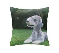 Bedlington Terrier Funny Dogs Furry Dogs Pets, Pillow Cover Decorative Throw Pillowcase Soft Polyester Cushion Covers 45x45 cm