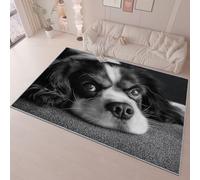Bedroom Area Rug 60 x 90 cm Flannel Non Slip Soft, Animal Close Up Dog Theme Kids Room Play Crawl Mat, Grey Machine Washable Low Pile Carpets Home for Decor Gifts Non Shedding