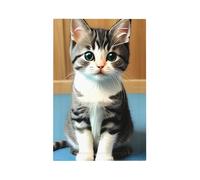 Bedroom Kitten Unbreakable Polycarbonate Switch Plate-Modern 1 Gang Light Cover for Home Office with Matching Screws