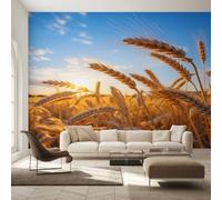Bedroom Wallpaper for Living Room, Wheat Wallpaper, Wheat Field Rustic Sunrise Wall Mural, Home Decor, Photo Wall Paper, 274 x 254 cm C&-IO