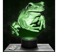 Bedside lamp Frog Animal Toad Decoration. Gift idea for Men and Women Frog Object Adult Night Light Room Decor. Original Christmas, Gift idea for Men and Women.